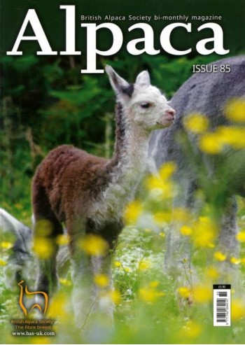 Alpaca   (UK) Magazine Subscription